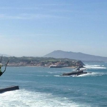 Elegant Appartement A St-Jean-De-Luz - Proche Plage & Commerces - Fr-1-239-851 Saint-Jean-de-Luz Εξωτερικό φωτογραφία